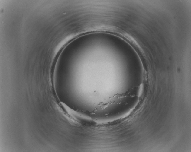 X0000069361230200605192050