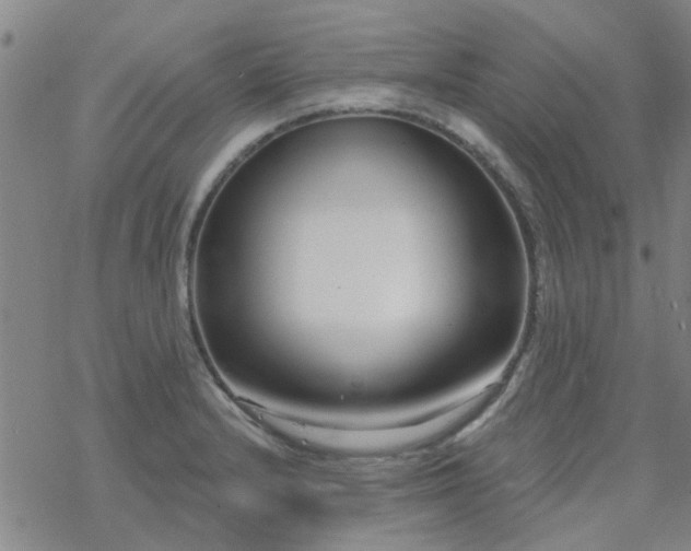 X0000069361232200605192050