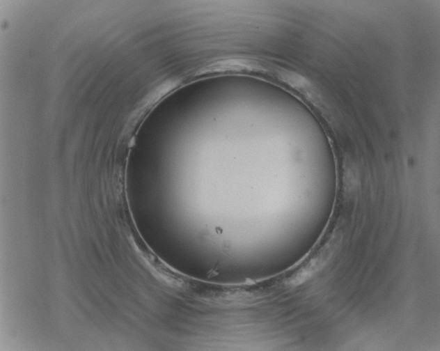 X0000069361233200605192050