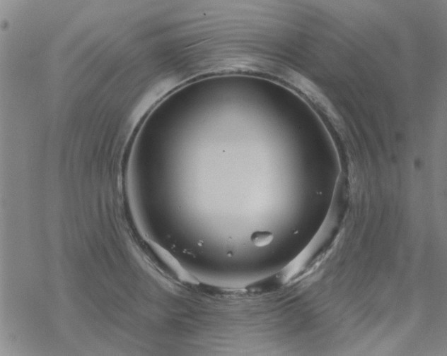 X0000069361234200605192050