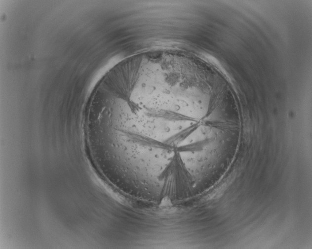 X0000069361235200605192050