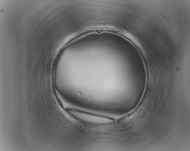 X0000069361237200605192050