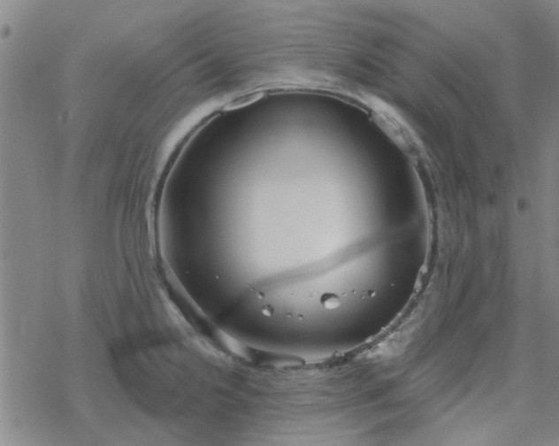 X0000069361238200605192050