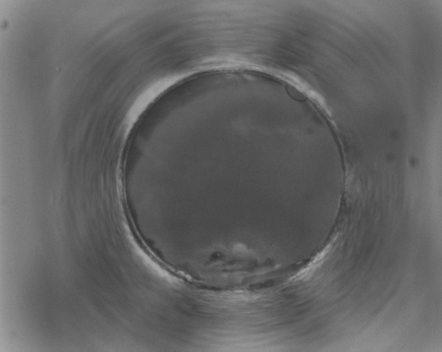 X0000069361239200605192050