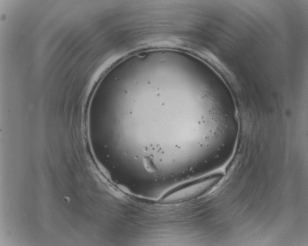 X0000069361240200605192050