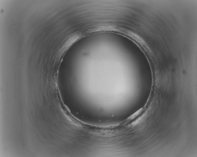 X0000069361241200605192050