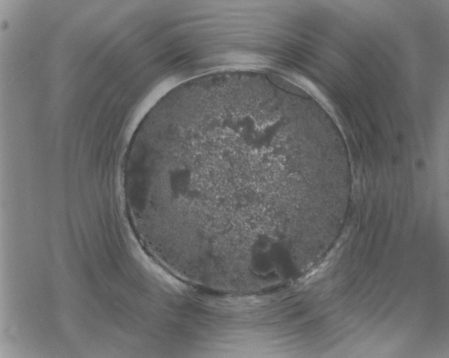 X0000069361243200605192050