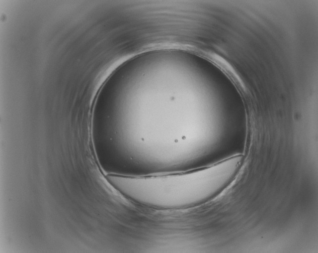 X0000069361244200605192050