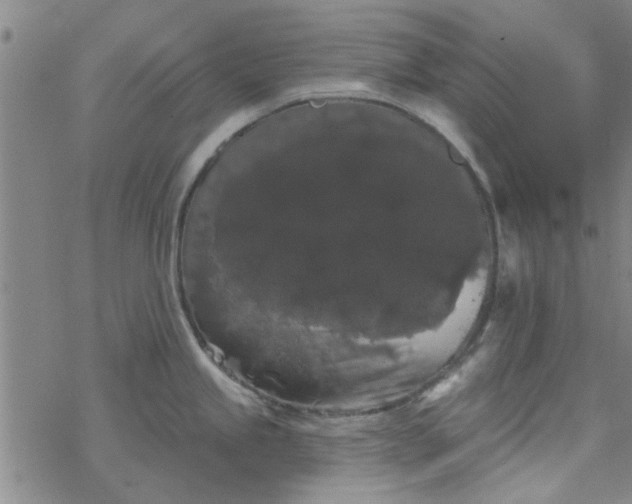 X0000069361245200605192050