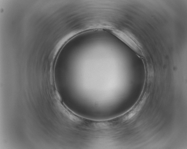 X0000069361246200605192050