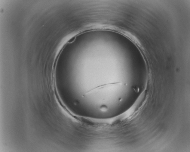 X0000069361247200605192050