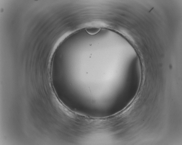 X0000069361248200605192050