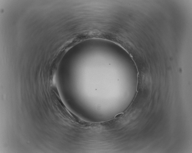 X0000069361250200605192049