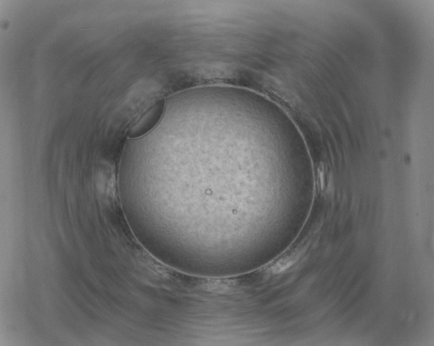 X0000069361251200605192049