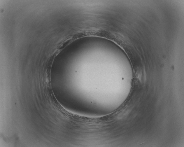 X0000069361252200605192049