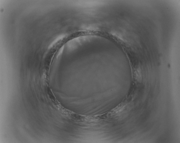 X0000069361254200605192049