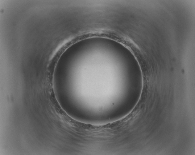 X0000069361256200605192049