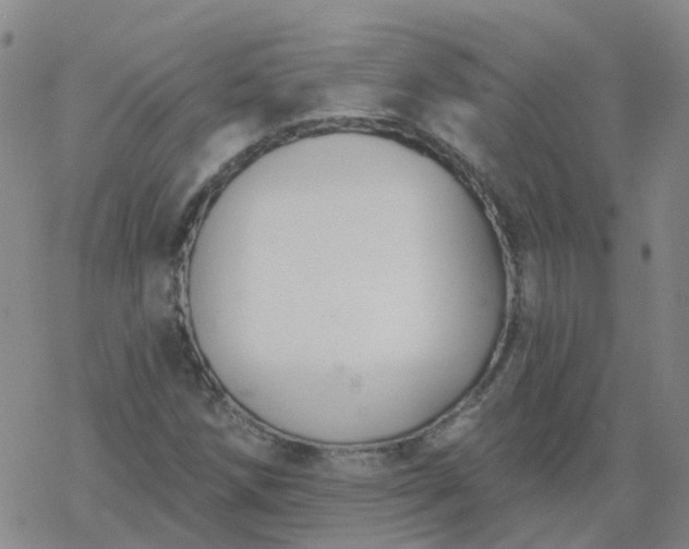 X0000069361258200605192049