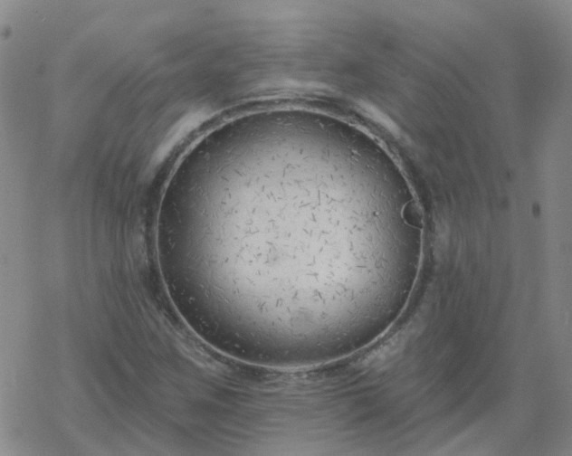 X0000069361259200605192049