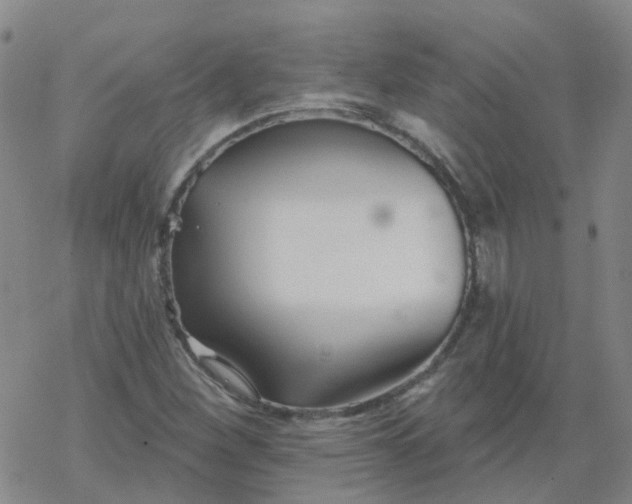 X0000069361260200605192049