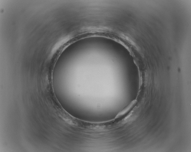 X0000069361261200605192049