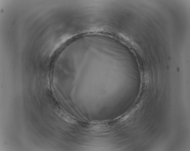 X0000069361262200605192049