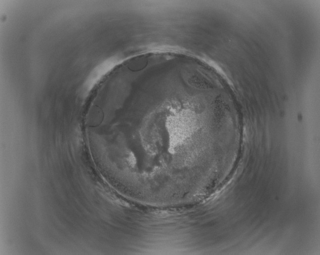 X0000069361263200605192049