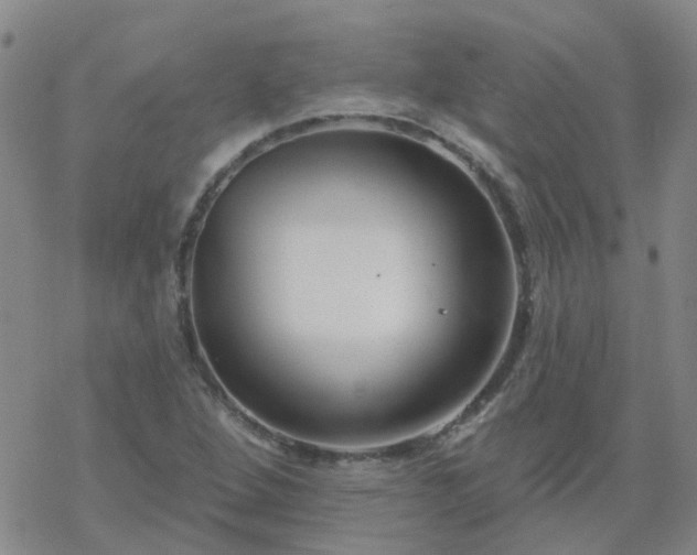 X0000069361264200605192049