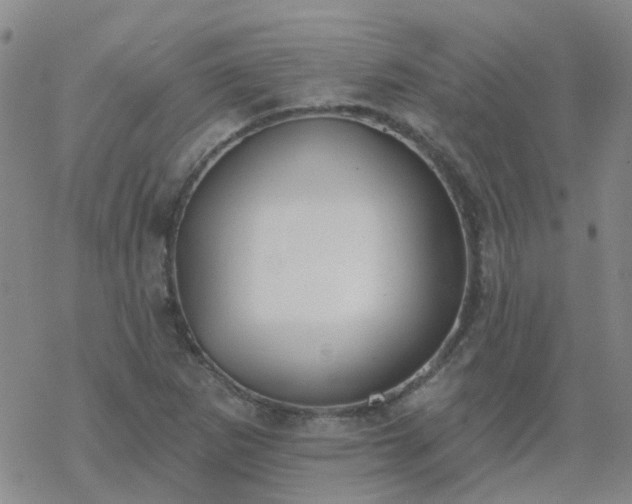 X0000069361265200605192049