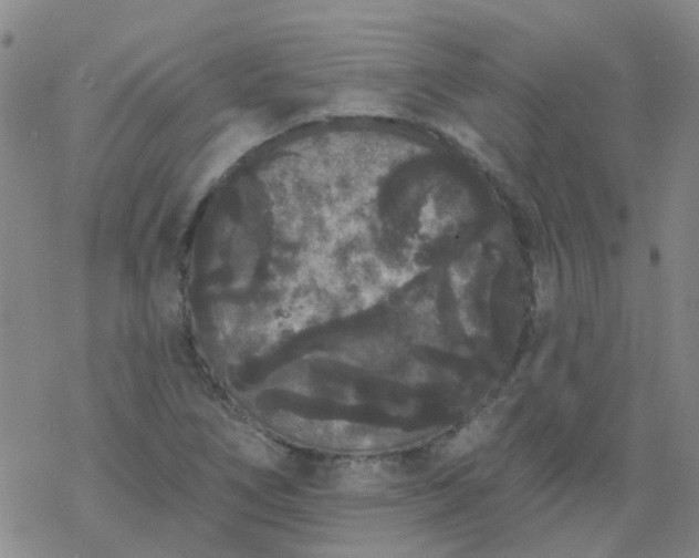 X0000069361266200605192049