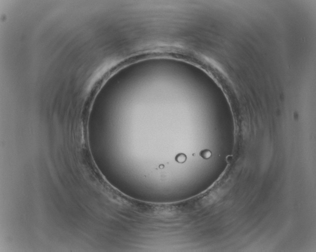 X0000069361267200605192049