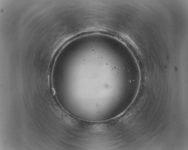 X0000069361268200605192049