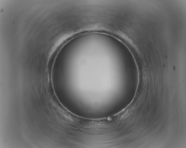 X0000069361270200605192049