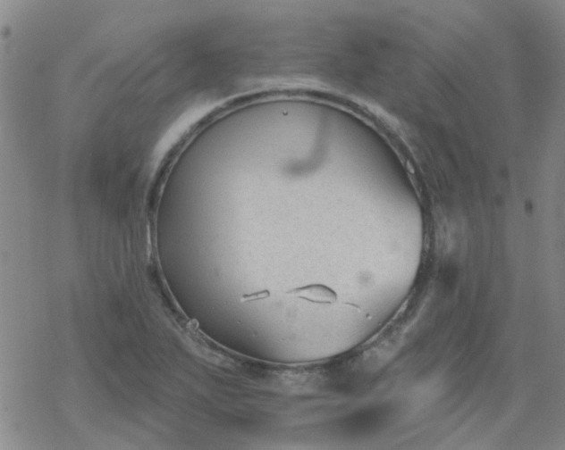 X0000069361271200605192049