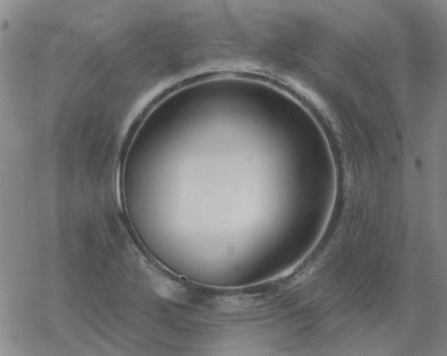 X0000069361272200605192049