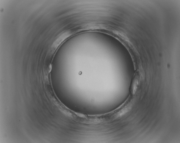 X0000069361273200605192049