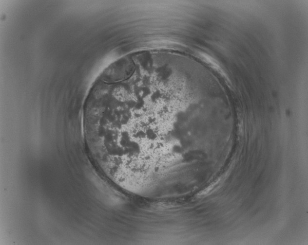 X0000069361275200605192049