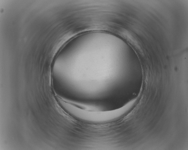 X0000069361276200605192049