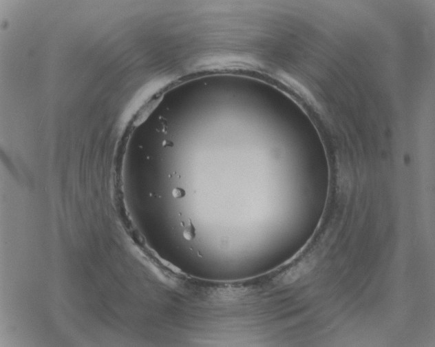 X0000069361277200605192049