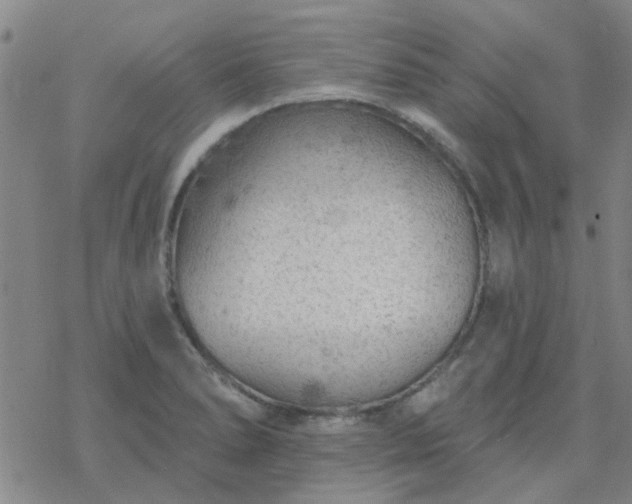 X0000069361278200605192049