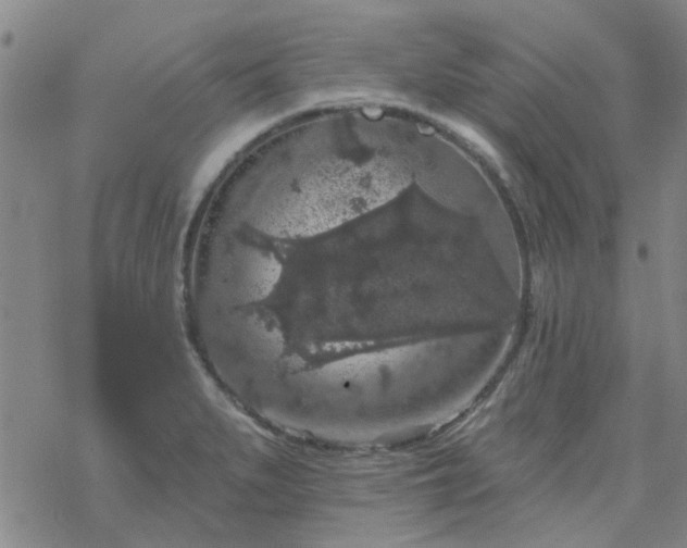 X0000069361279200605192049