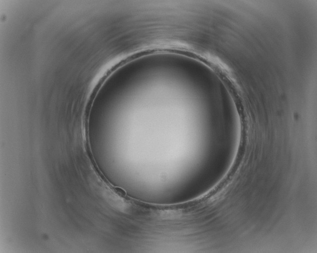 X0000069361280200605192049