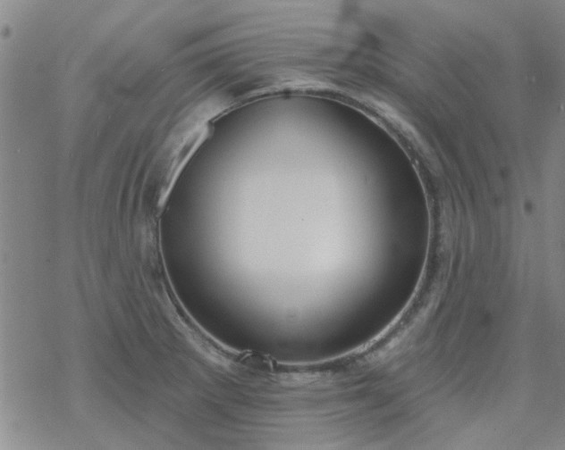 X0000069361281200605192049