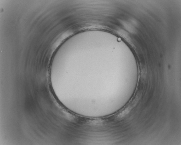 X0000069361282200605192049