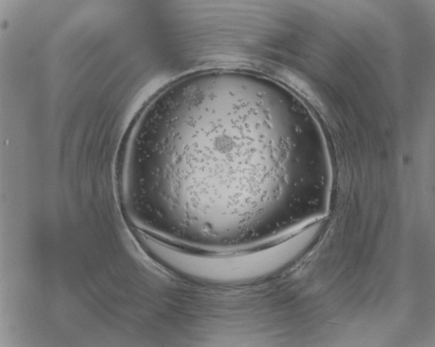 X0000069361283200605192049