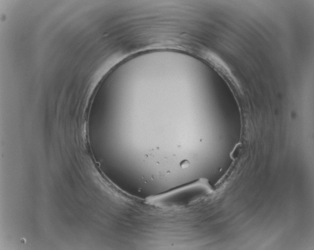 X0000069361284200605192049