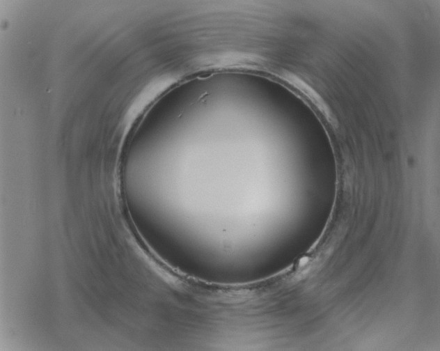 X0000069361285200605192049