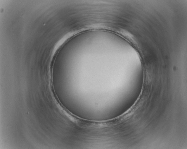 X0000069361286200605192049