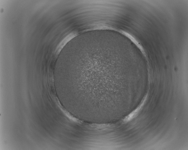 X0000069361289200605192049