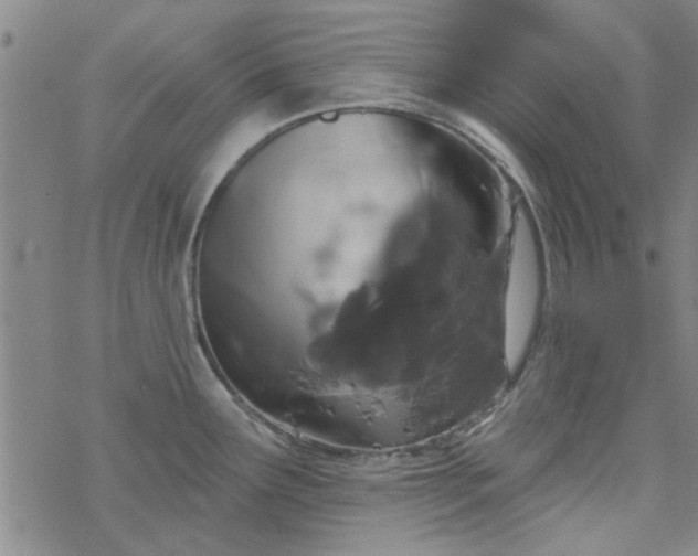 X0000069361291200605192049